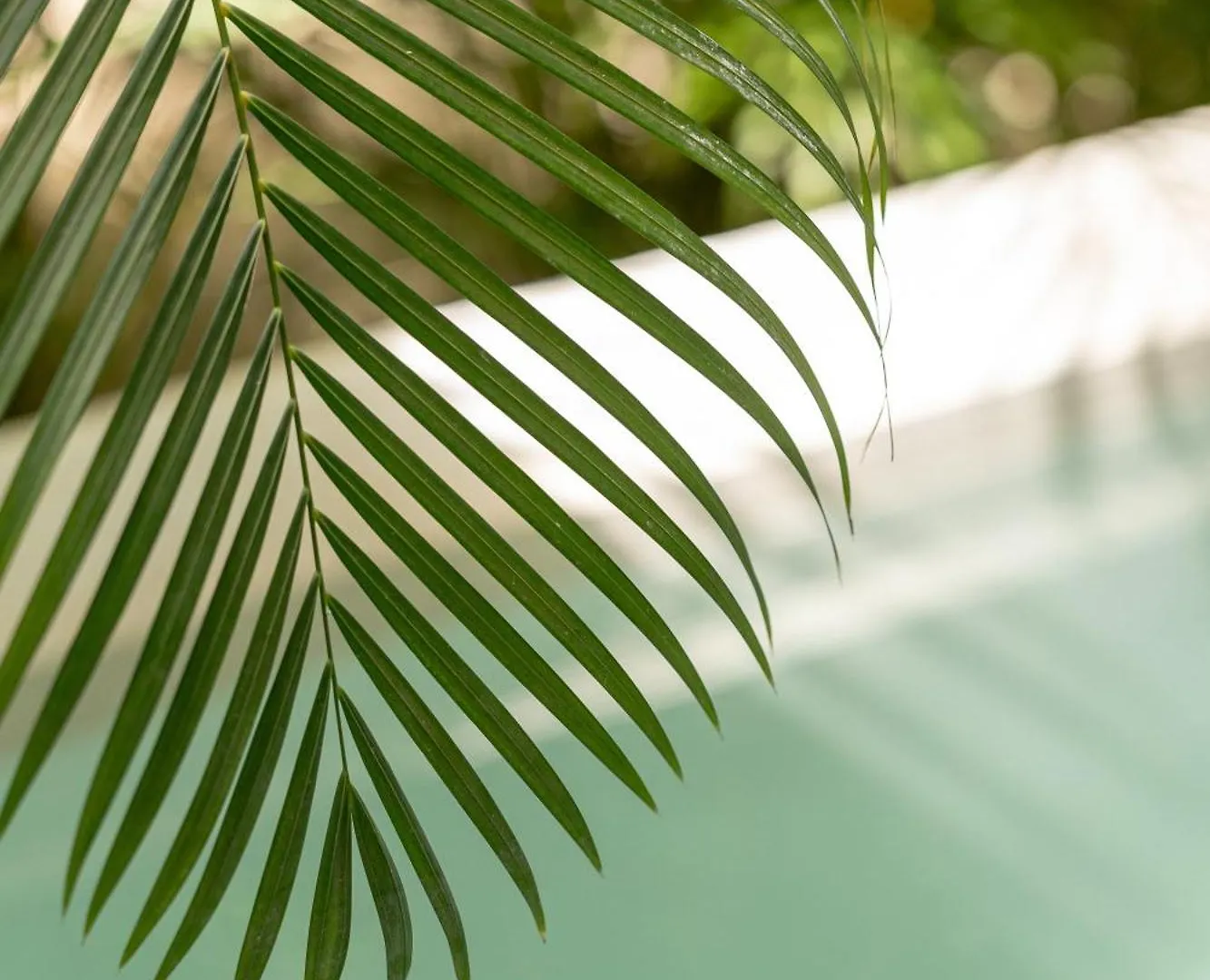 Seremonia Studios By Vida De Playa Rentals Tulum Apartamento